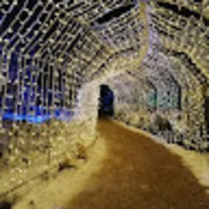 Meet your Posher, Liana